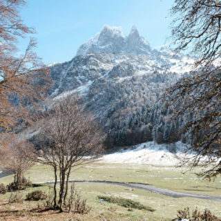 BEARN-VALLEE_OSSAU_DSCF1425_NP