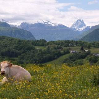 BEARN-VALLEE_OSSAU_DSCF4825_NP