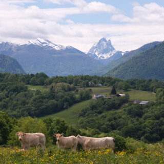 BEARN-VALLEE_OSSAU_DSCF4834_NP