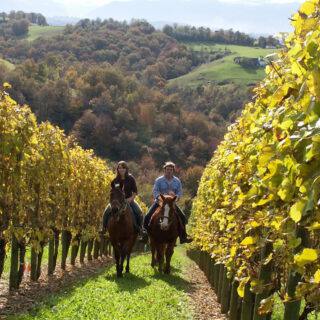 BEARN_Randonnee-Equestre_Aubertin_©OTLescar