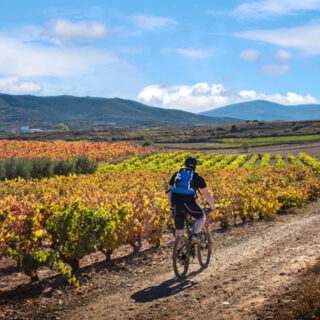 Ciclista viñedo baja. Raquel Manzanares