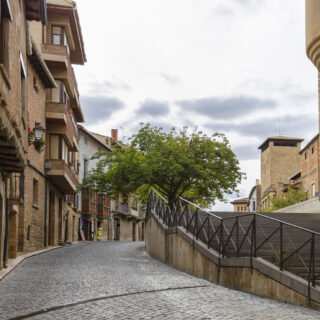 Olite_Francis Vaquero_Turismo de Navarra