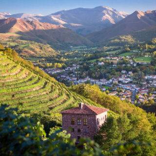 Vignoble Irouleguy 02 ©PierreCarton.com