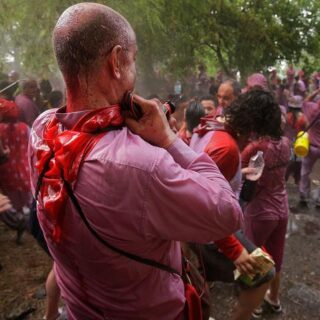 batalla del vino