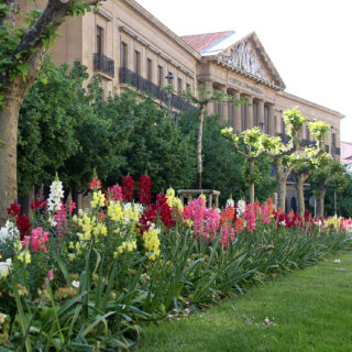 Palacio de Navarra