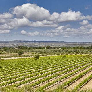 Patrimonio Natural_Javier Campos_Turismo de Navarra