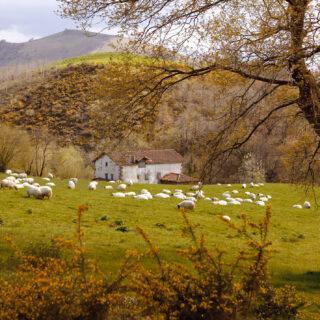 Valle de Baztan_Iñaki Zaldua_Turismo de Navarra