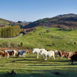 Valle de Baztan_Javier Campos_Turismo de Navarra_1