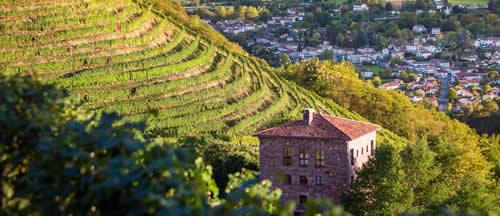 7 rutas para los amantes del vino que buscan un poco de aventura